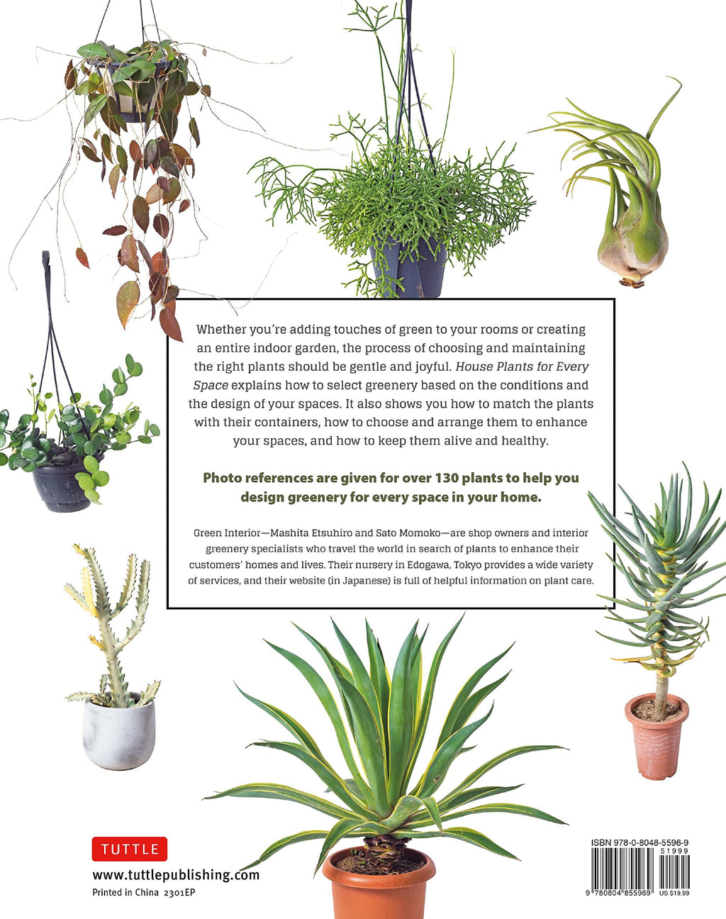 House Plants for Every Space: A Concise Guide to Selecting, Designing and Maintaining Plants in Any Indoor Space
