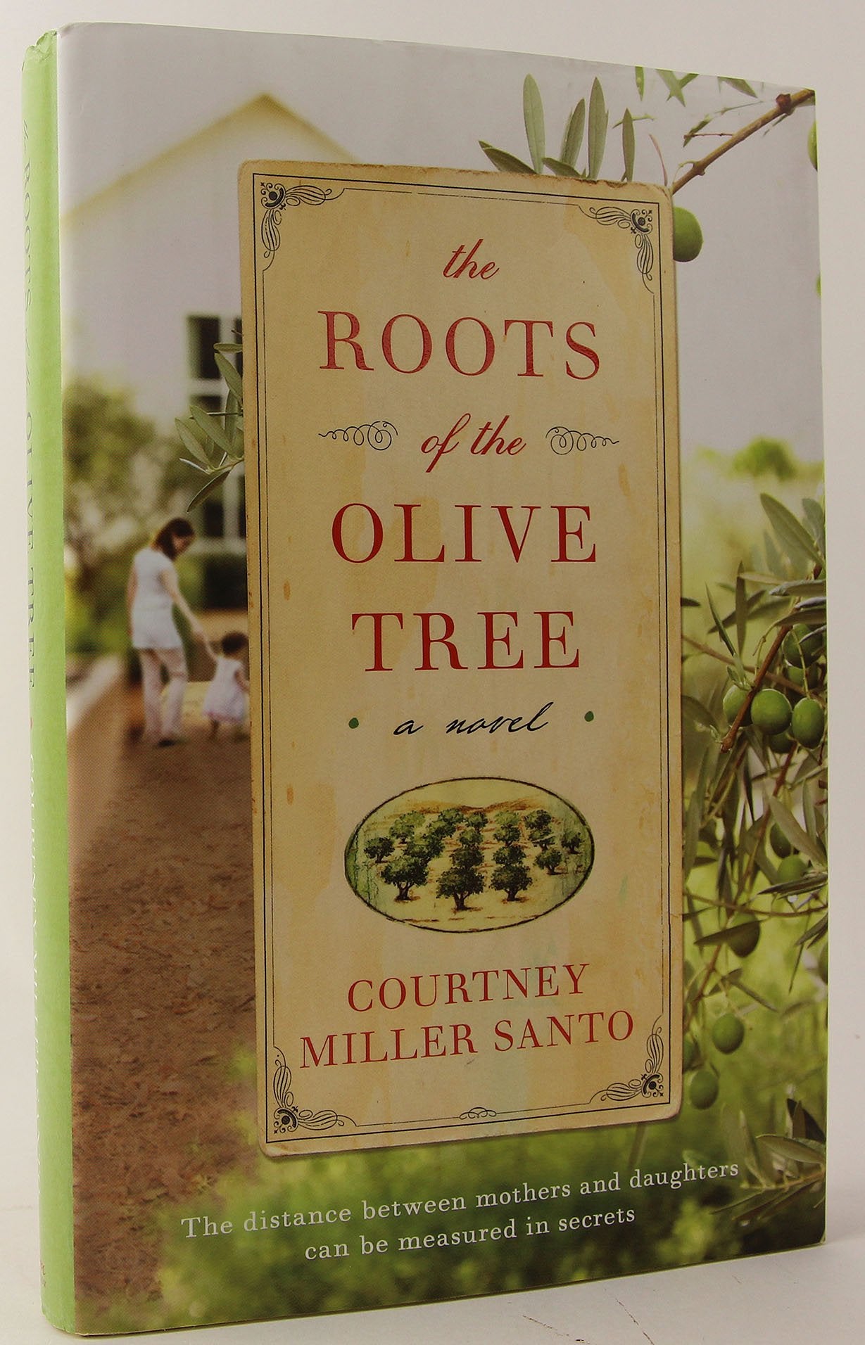 The Roots of the Olive Tree
