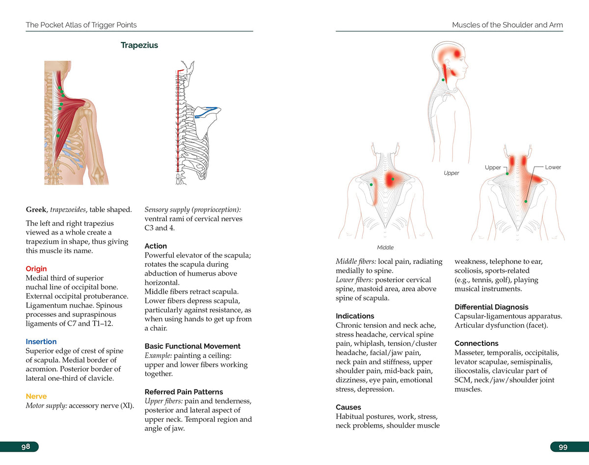 The Pocket Atlas of Trigger Points: A User-Friendly Guide to Muscle Anatomy, Pain Patterns, and the Myofascial Network for Students, Practitioners, and Patients