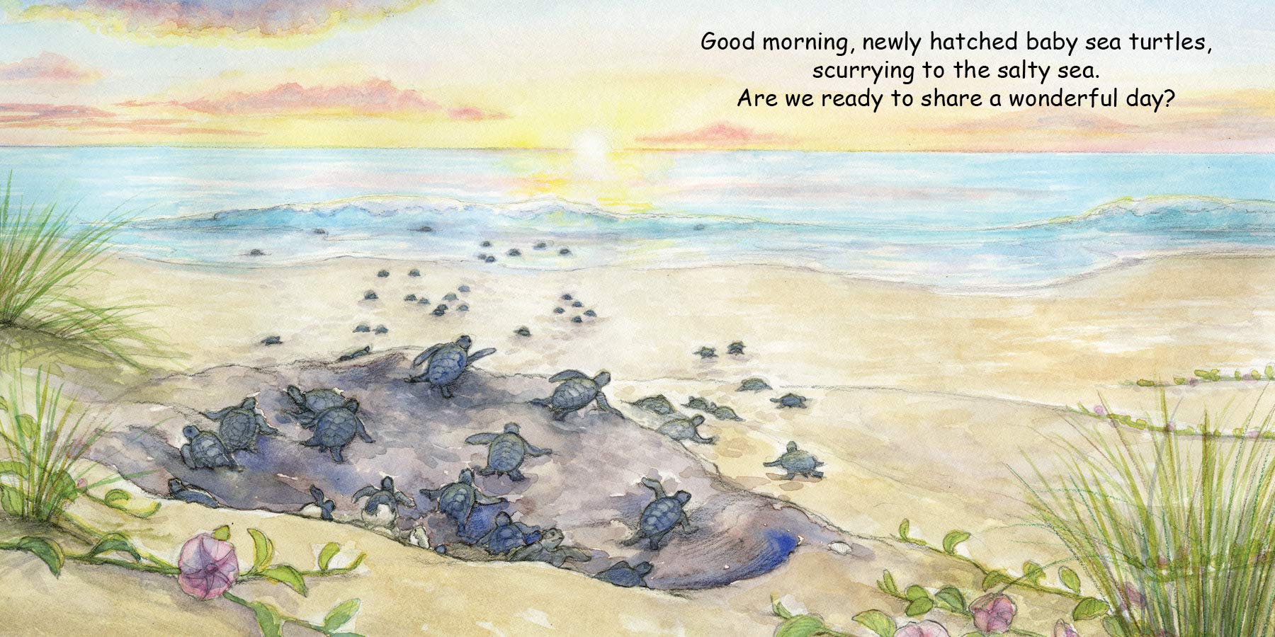 Good Night Turtles (Good Night Our World)