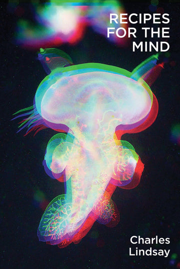 Recipes for the Mind (Terra Nova Press)