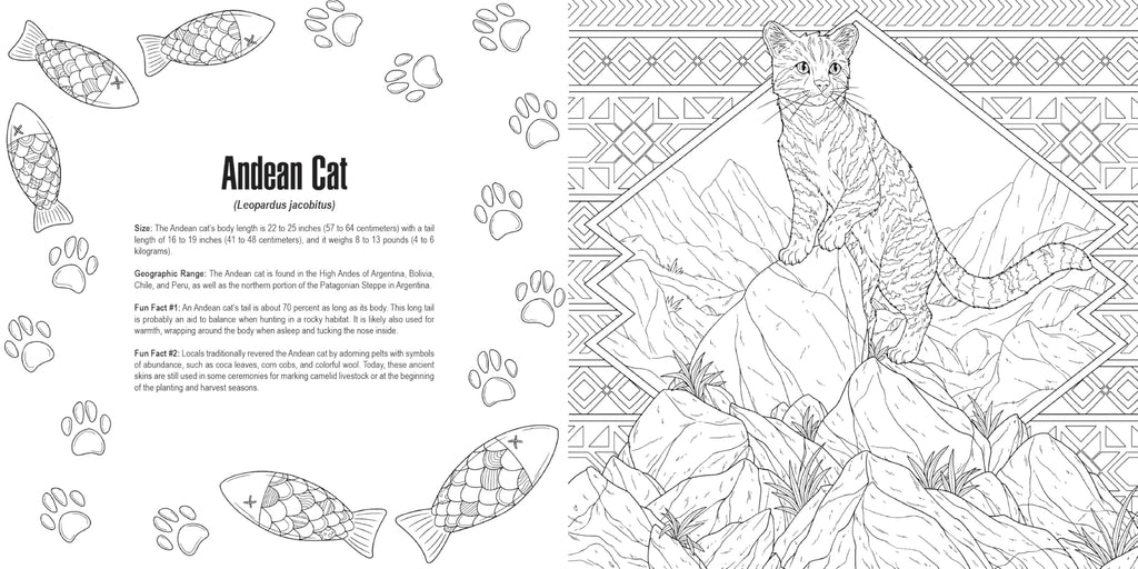 Cats: A Smithsonian Coloring Book