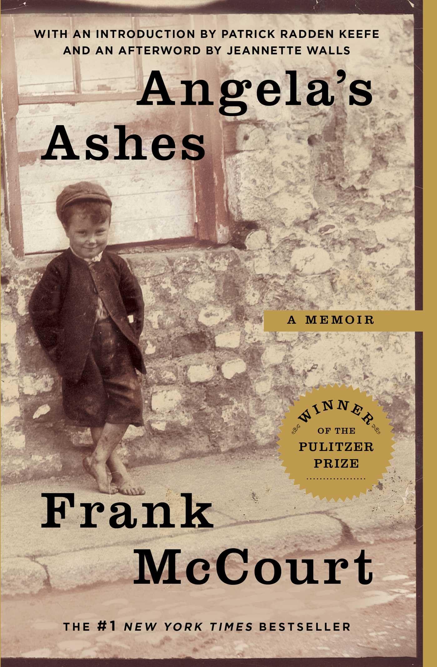 Angela's Ashes: A Memoir