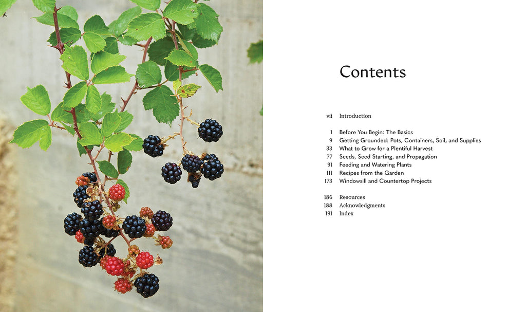 Tiny Space Gardening: Growing Vegetables, Fruits, and Herbs in Small Outdoor Spaces (with Recipes)