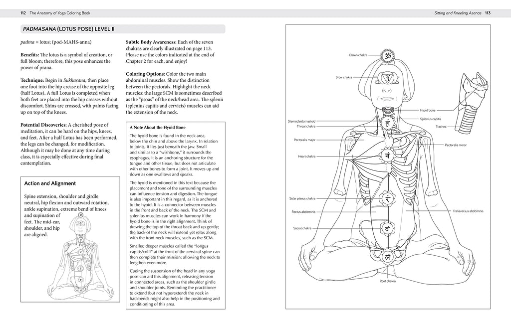 The Anatomy of Yoga Coloring Book: Learn the Form and Biomechanics of More than 50 Asanas