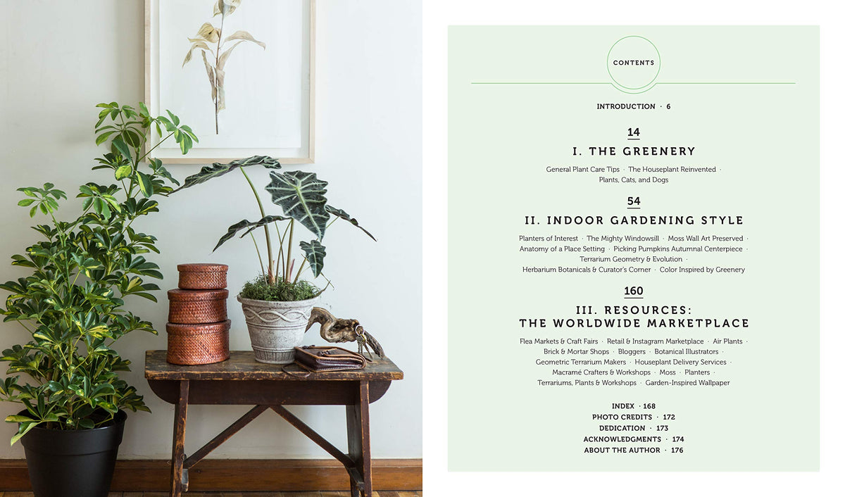 Living Decor: Plants, Potting and DIY Projects - Botanical Styling with Fiddle-Leaf Figs, Monsteras, Air Plants, Succulents, Ferns, and More of Your Favorite Houseplants
