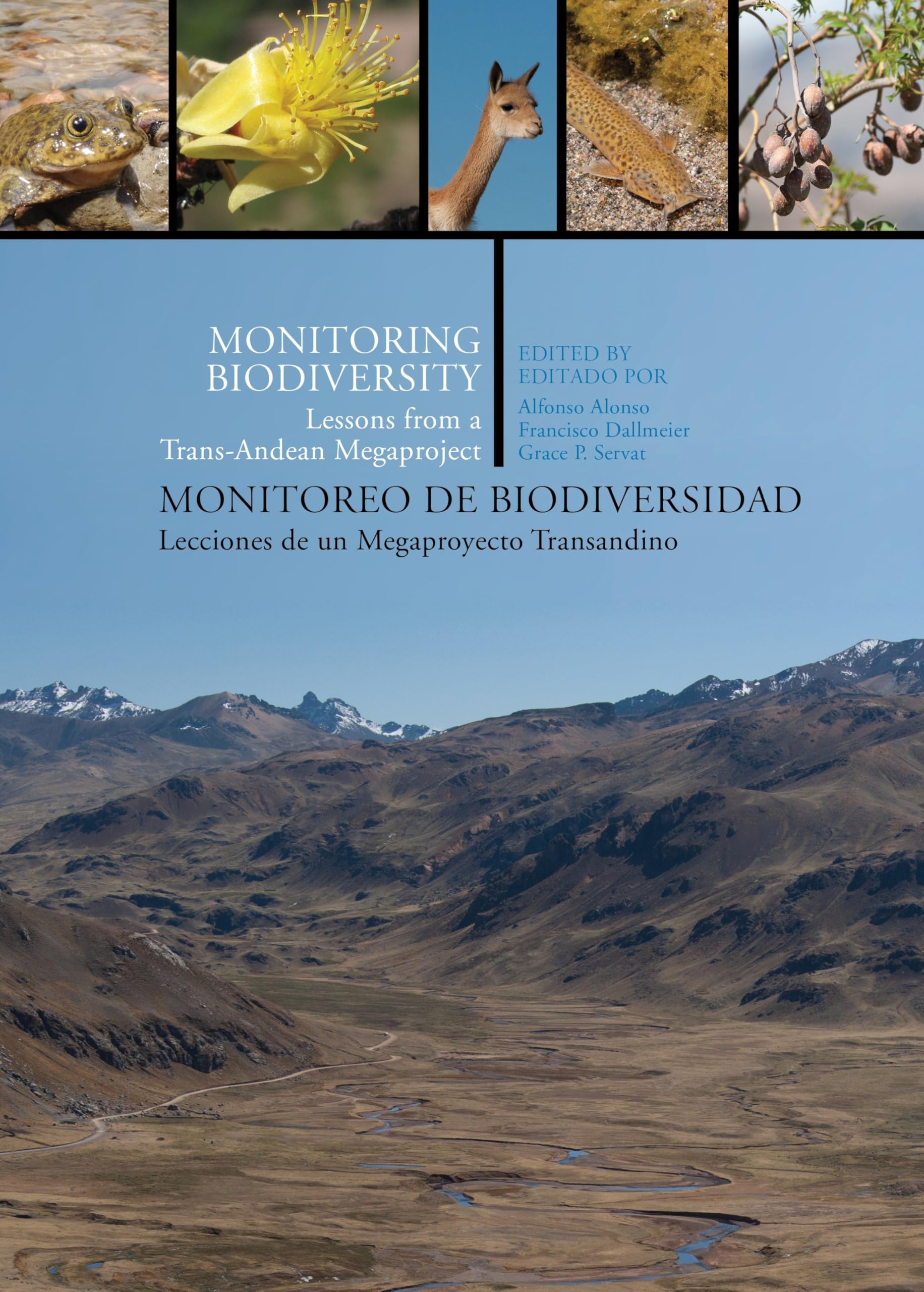 Monitoring Biodiversity: Lessons from a Trans-Andean Megaproject (English and Spanish Edition)