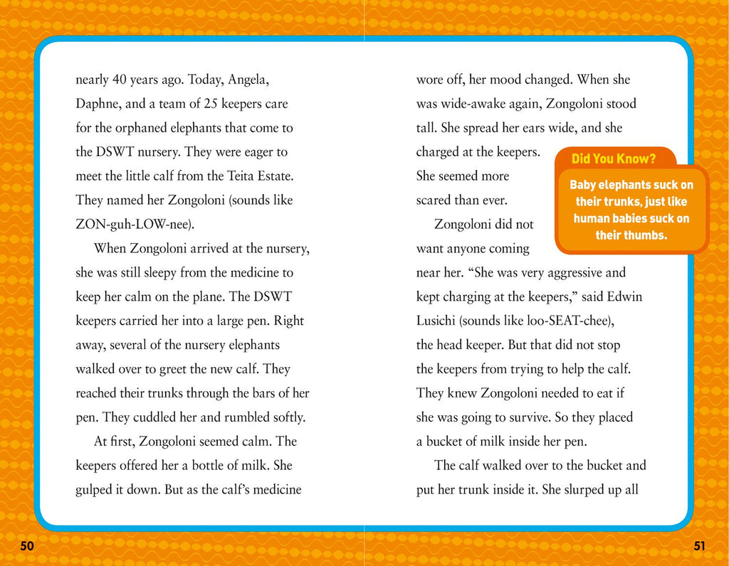 National Geographic Kids Chapters: Hoops to Hippos!: True Stories of a Basketball Star on Safari (NGK Chapters)