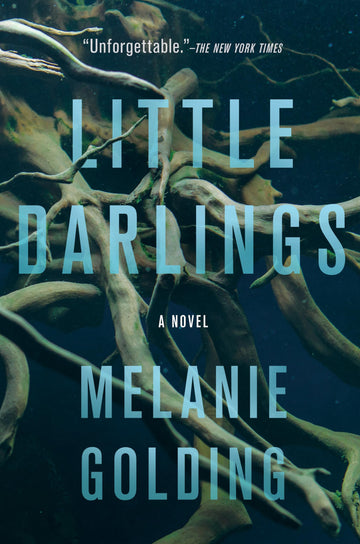 Little Darlings: A Novel