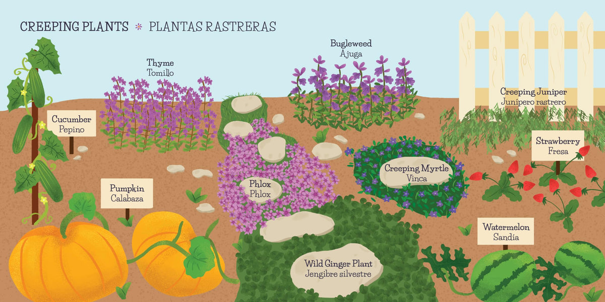 My First 100 Plantitas & Florecitas Words in English & Spanish (First 100 Words Series) (English and Spanish Edition)