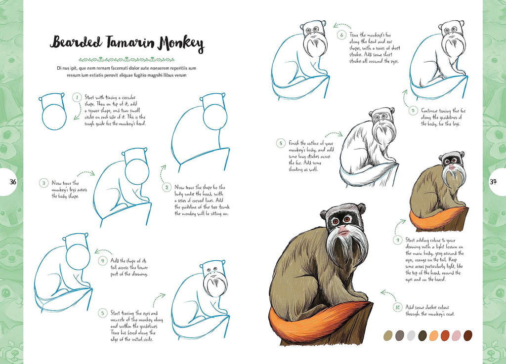 10 Step Drawing: Cute Animals: 'Draw over 50 adorable animals in 10 easy steps