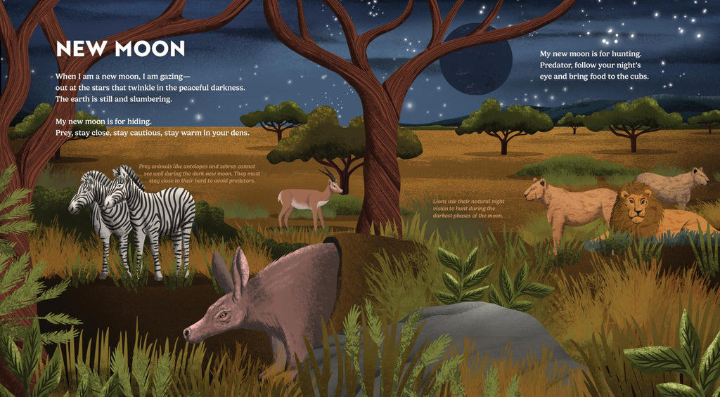 Wild Moon: How the Lunar Phases Light Up Our World