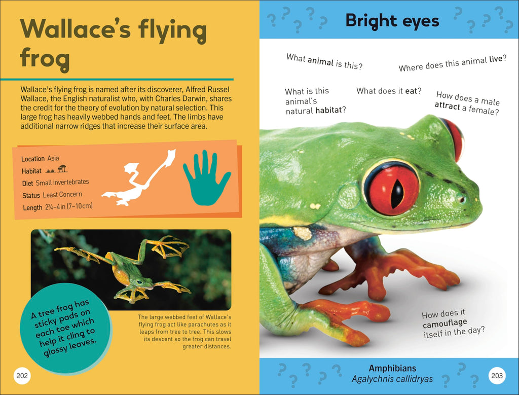 Quiz Yourself Clever! Animals of the World