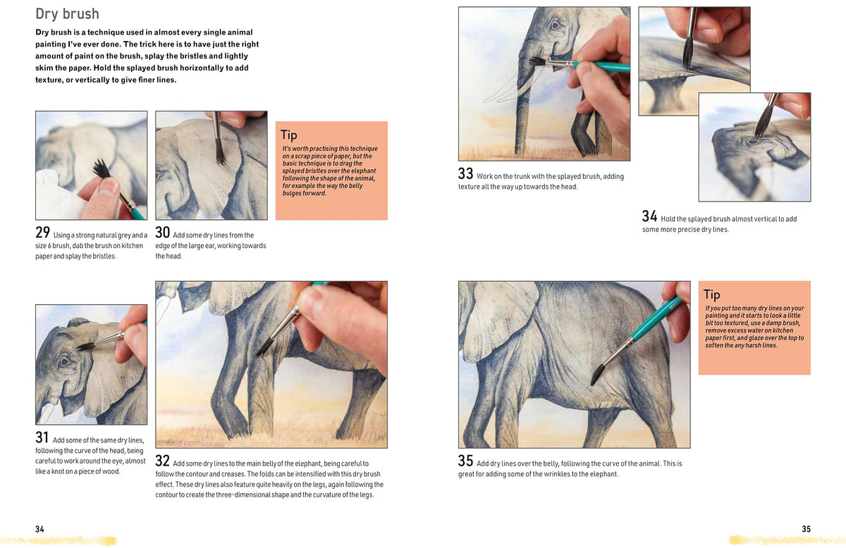 Watercolour Animals for the Absolute Beginner