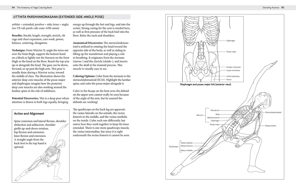 The Anatomy of Yoga Coloring Book: Learn the Form and Biomechanics of More than 50 Asanas