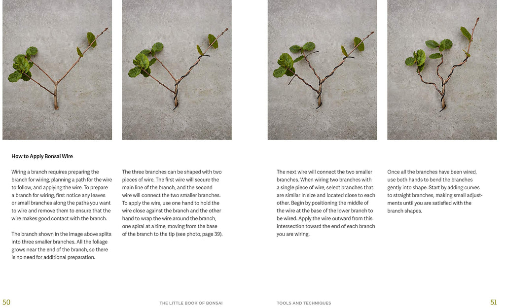 The Little Book of Bonsai: An Easy Guide to Caring for Your Bonsai Tree