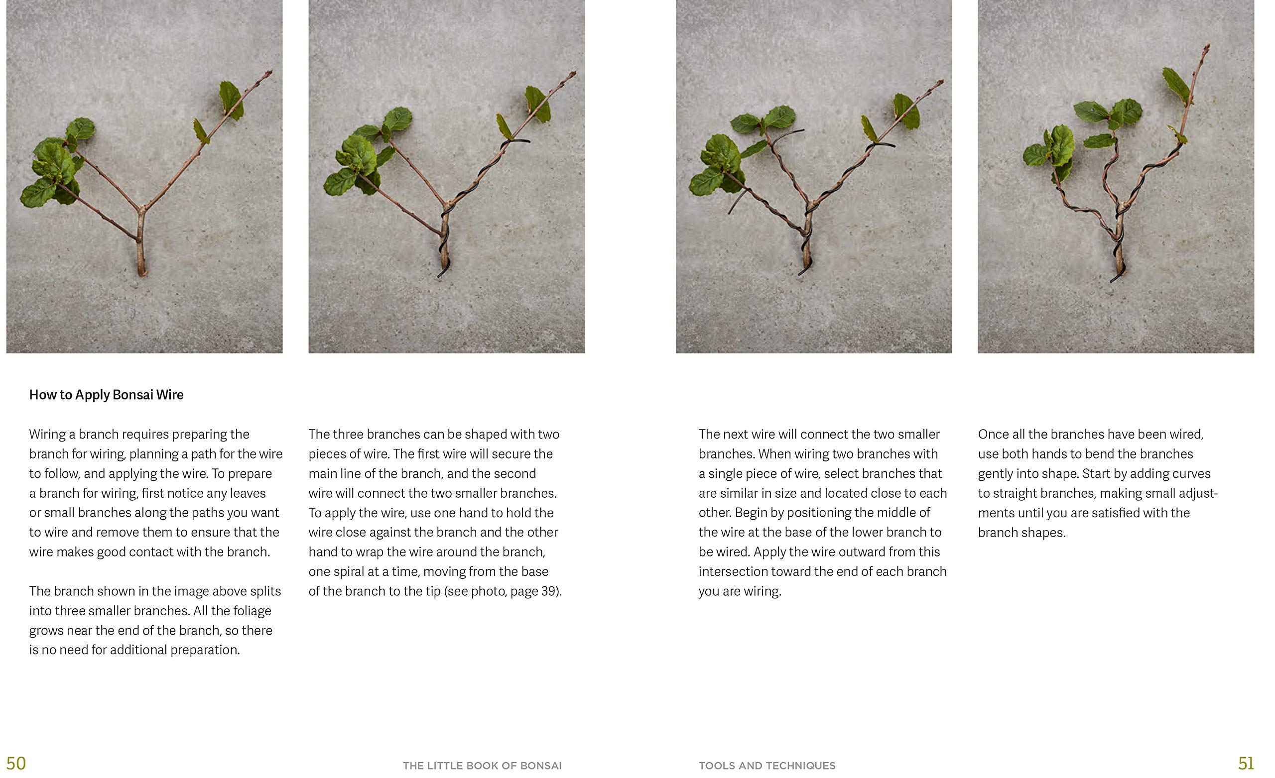 The Little Book of Bonsai: An Easy Guide to Caring for Your Bonsai Tree