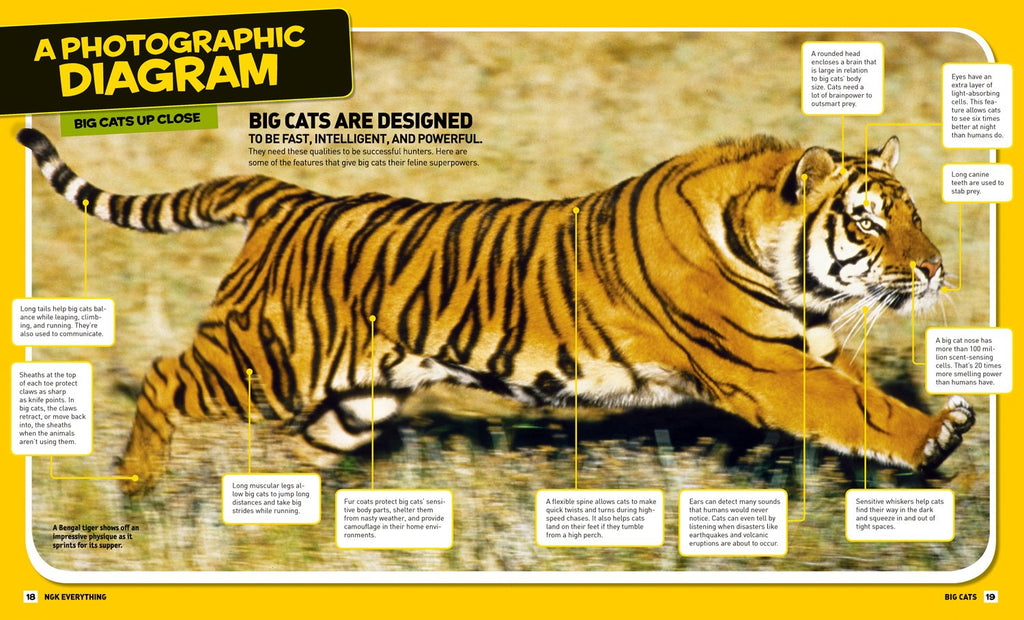 National Geographic Kids Everything Big Cats: Pictures to Purr About and Info to Make You Roar!