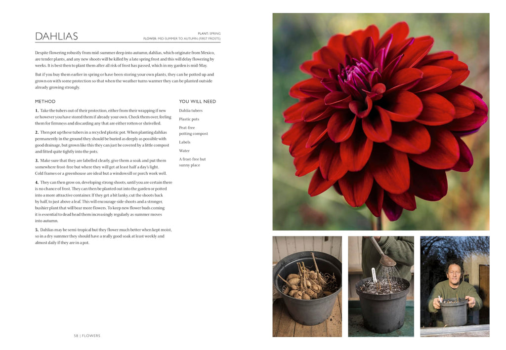 The Gardening Book: An Accessible Guide to Growing Houseplants, Flowers, and Vegetables for Your Ideal Garden