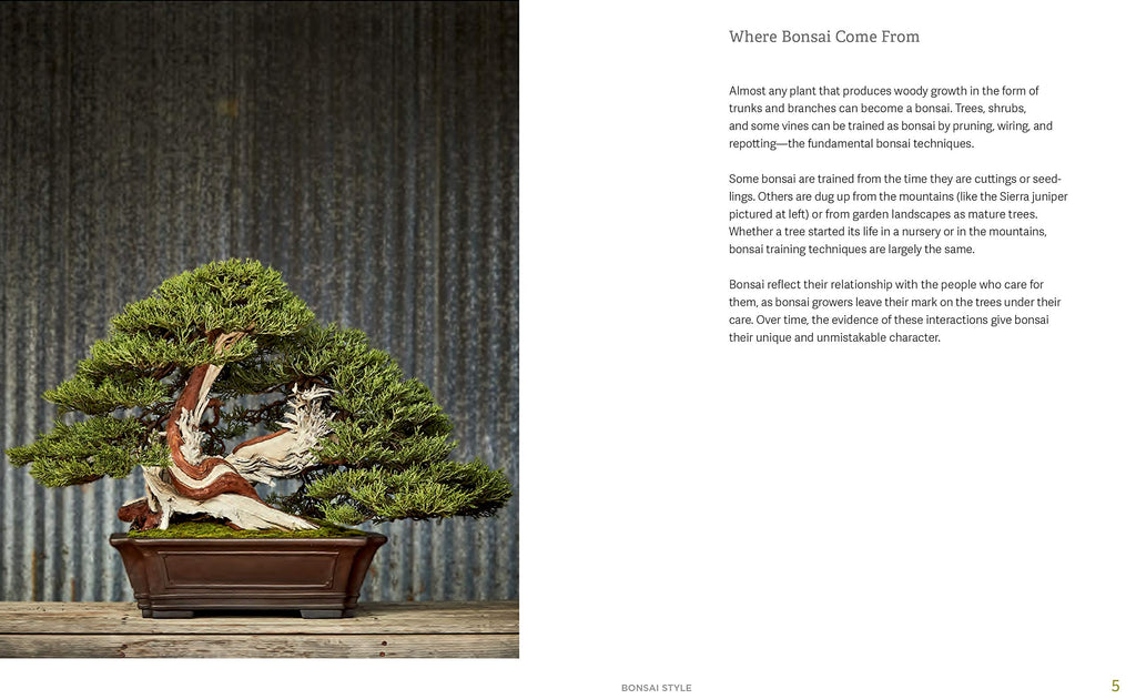 The Little Book of Bonsai: An Easy Guide to Caring for Your Bonsai Tree