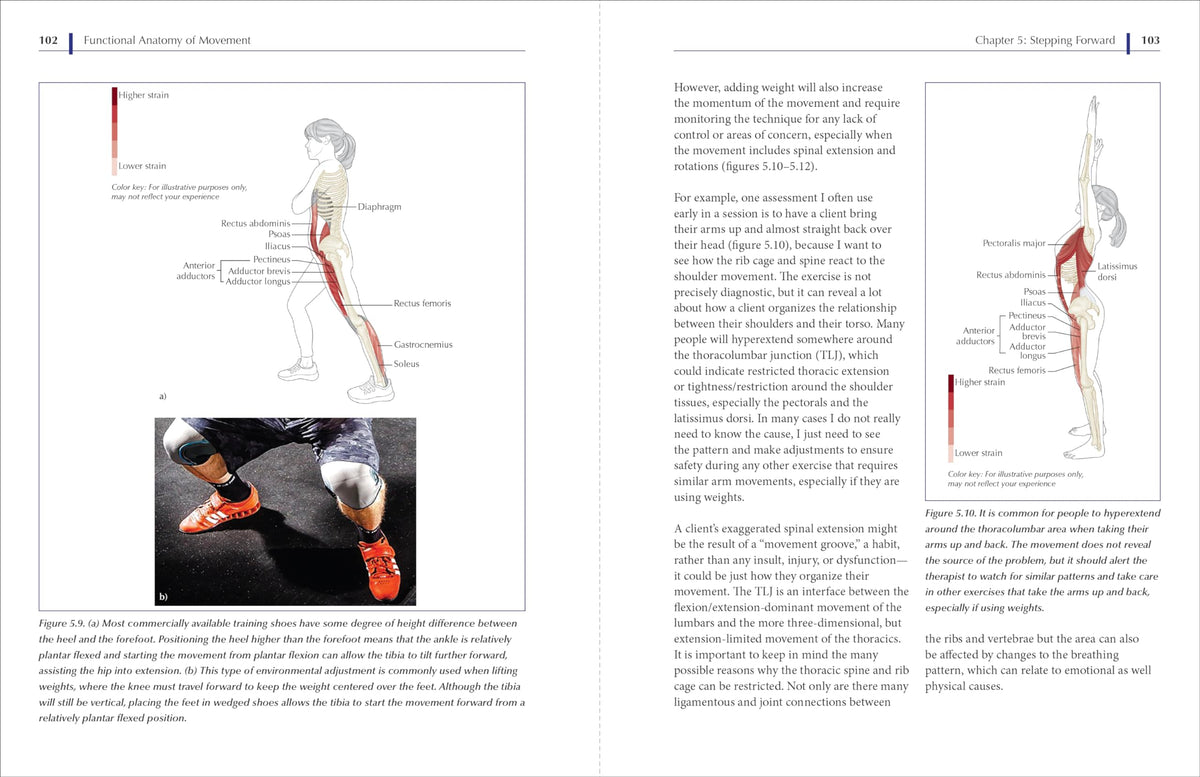 Functional Anatomy of Movement: An Illustrated Guide to Joint Movement, Soft Tissue Control, and Myofascial Anatomy-- For yoga teachers, pilates instructors & movement & manual therapists