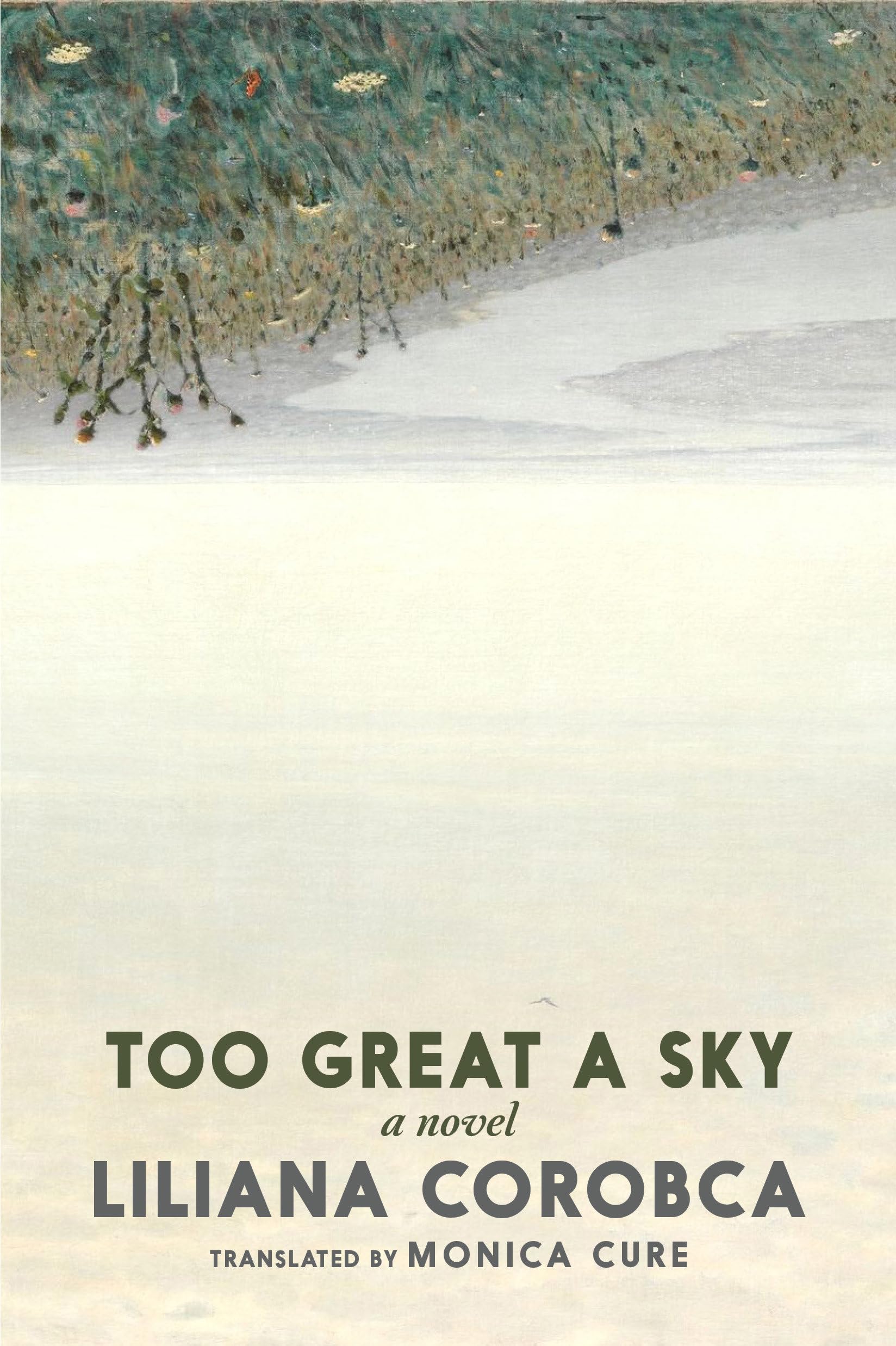 Too Great a Sky: A Novel