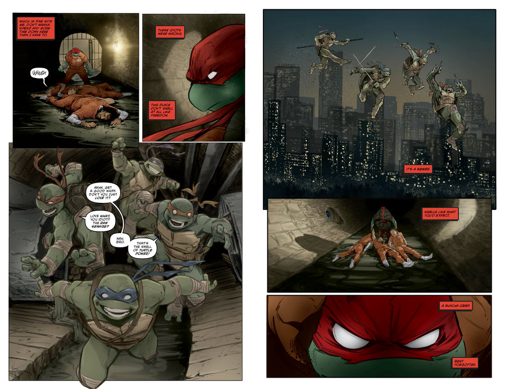 Teenage Mutant Ninja Turtles, Vol. 1: Return to New York Library Edition