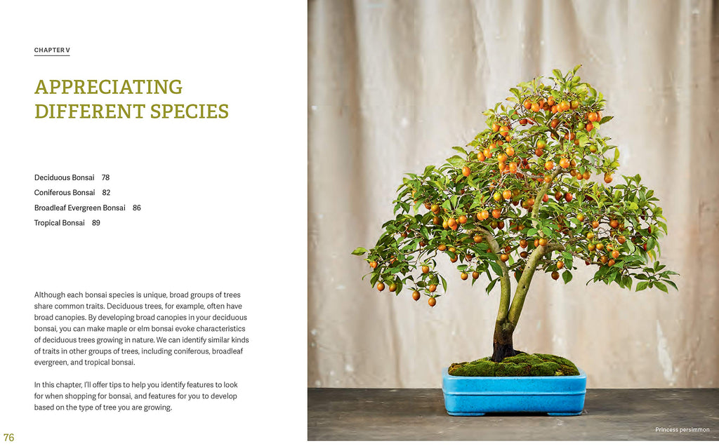 The Little Book of Bonsai: An Easy Guide to Caring for Your Bonsai Tree
