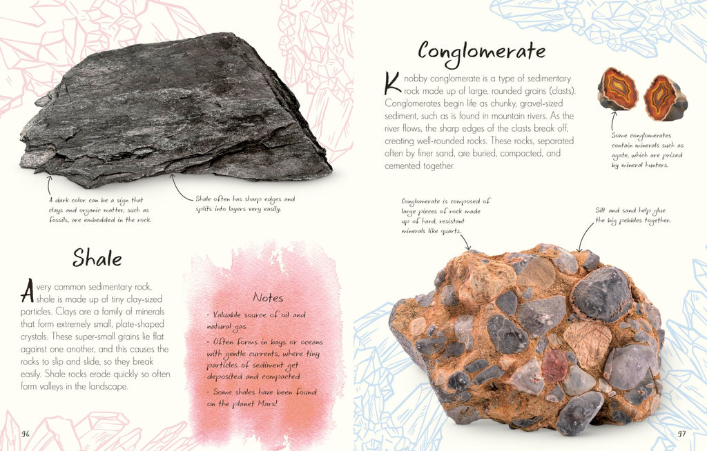 An Anthology of Rocks and Minerals: A Collection of Rocks, Minerals, and Gems from Around the World (DK Little Anthologies)