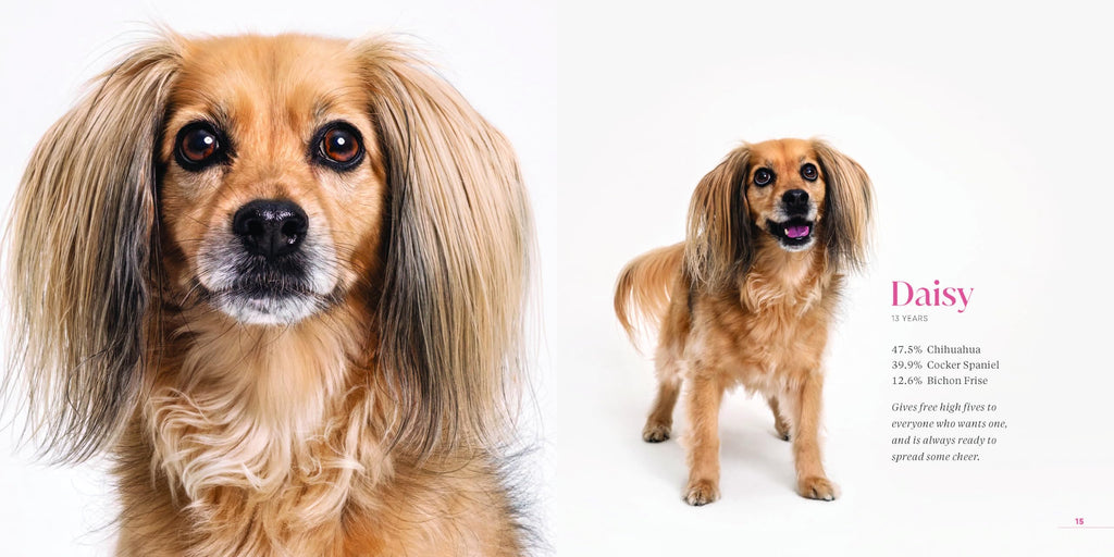 What Kind of Dog Is That?