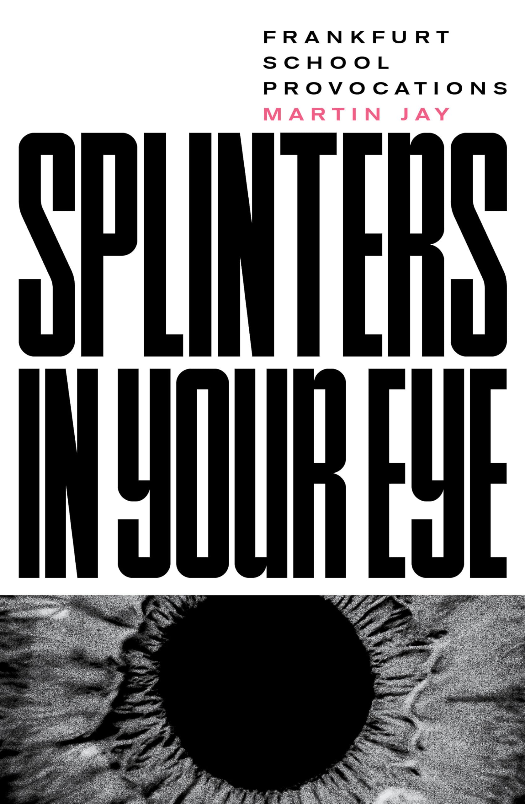 Splinters in Your Eye: Essays on the Frankfurt School