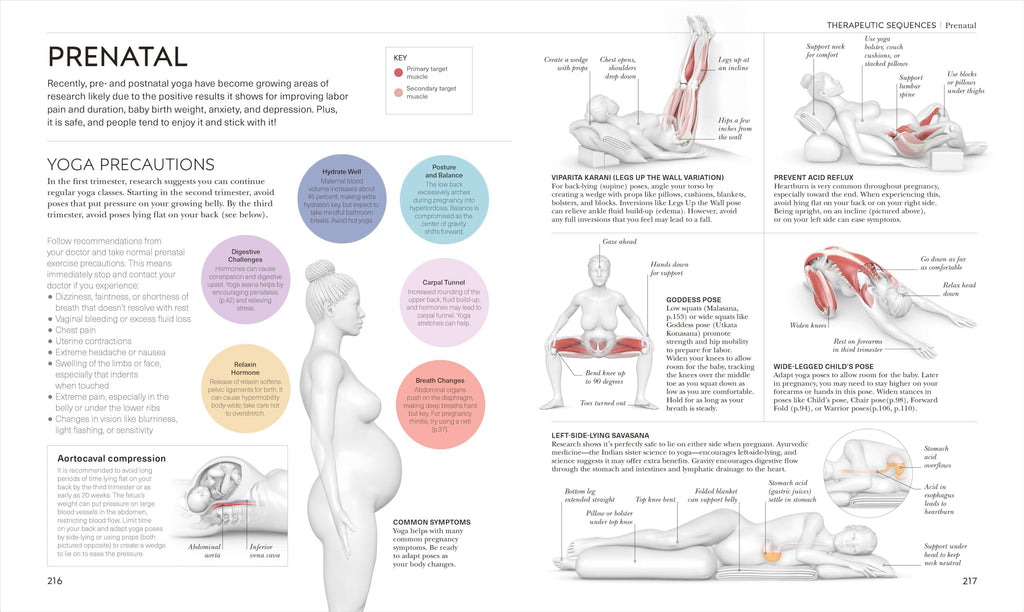 Science of Yoga: Understand the Anatomy and Physiology to Perfect Your Practice (The Science of Fitness)