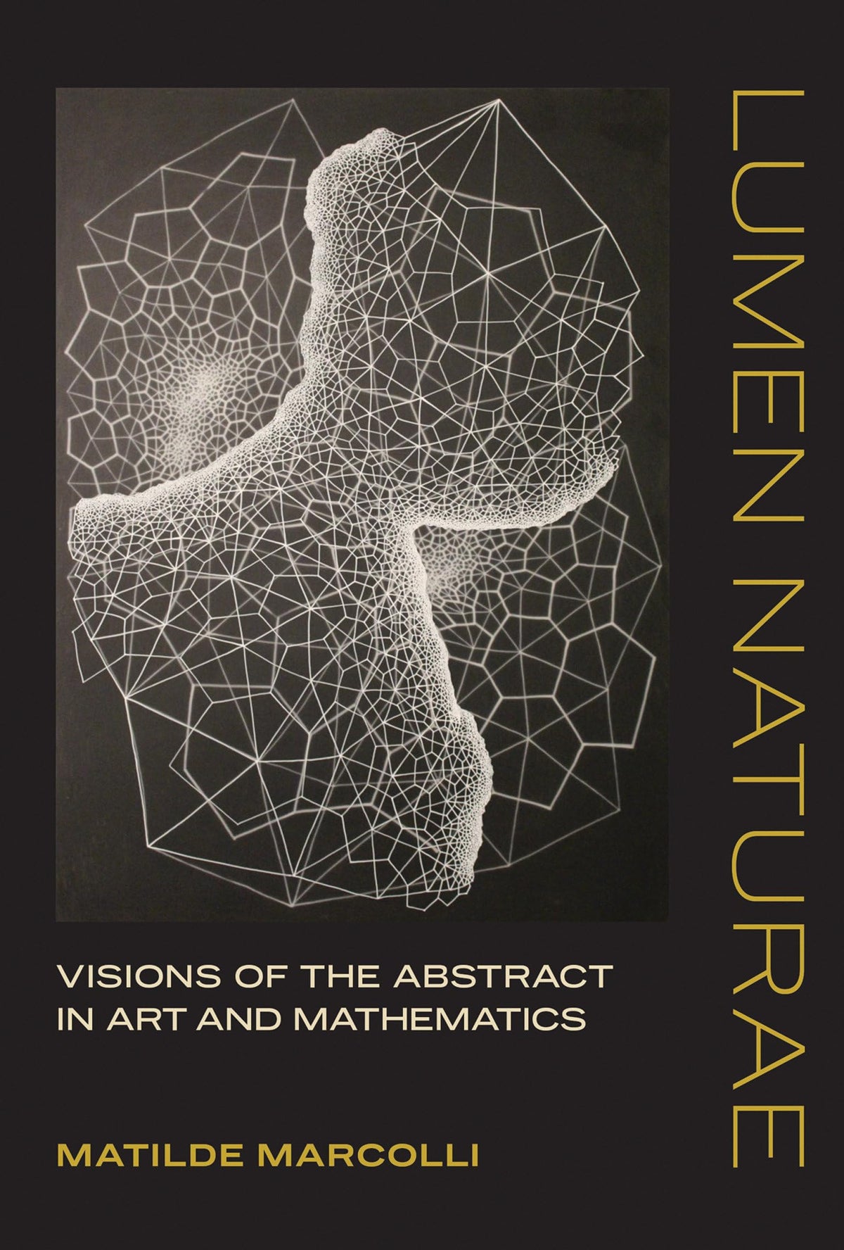 Lumen Naturae: Visions of the Abstract in Art and Mathematics (Mit Press)