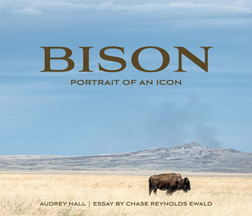 Bison: Portrait of an Icon (Wild in the West)