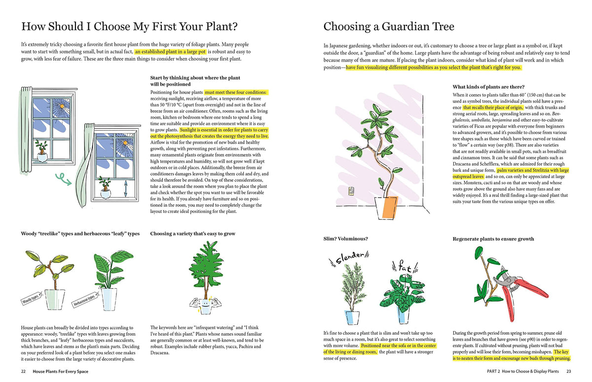 House Plants for Every Space: A Concise Guide to Selecting, Designing and Maintaining Plants in Any Indoor Space