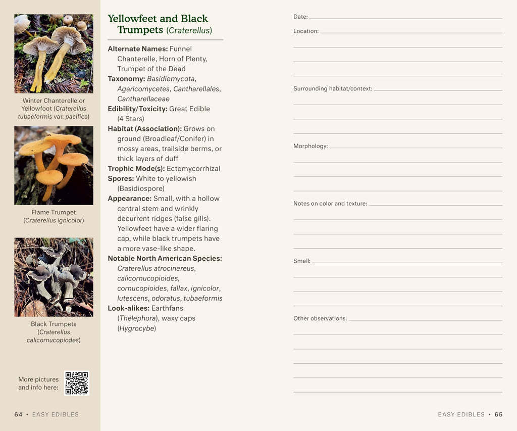 Dr. Fun Guy's Mushroom Journal and Foraging Guide