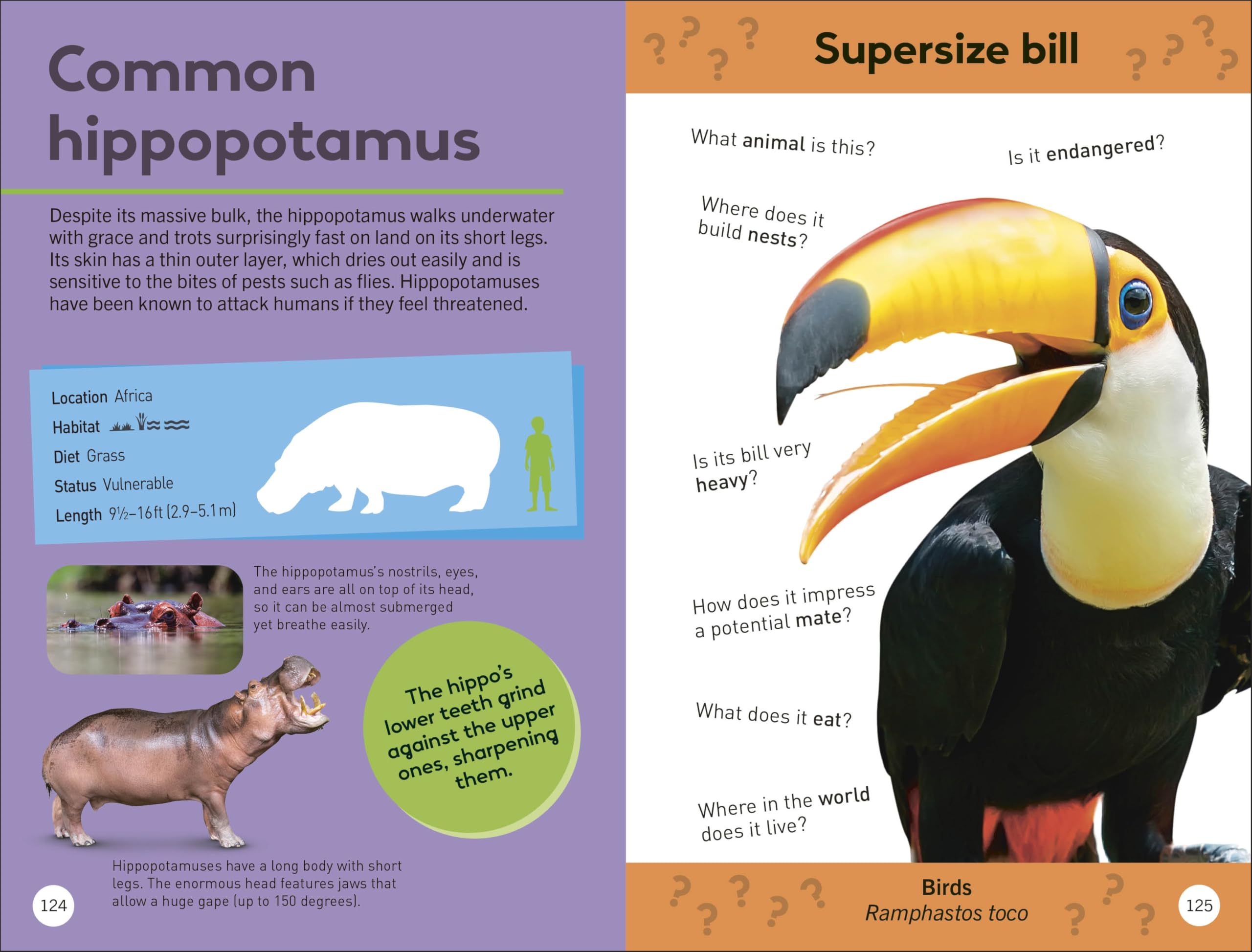 Quiz Yourself Clever! Animals of the World