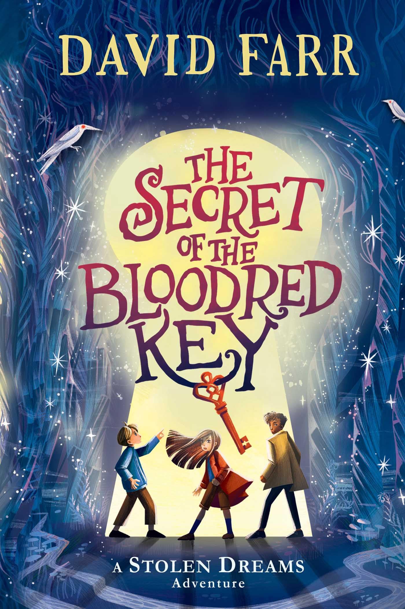 The Secret of the Bloodred Key (The Stolen Dreams Adventures)