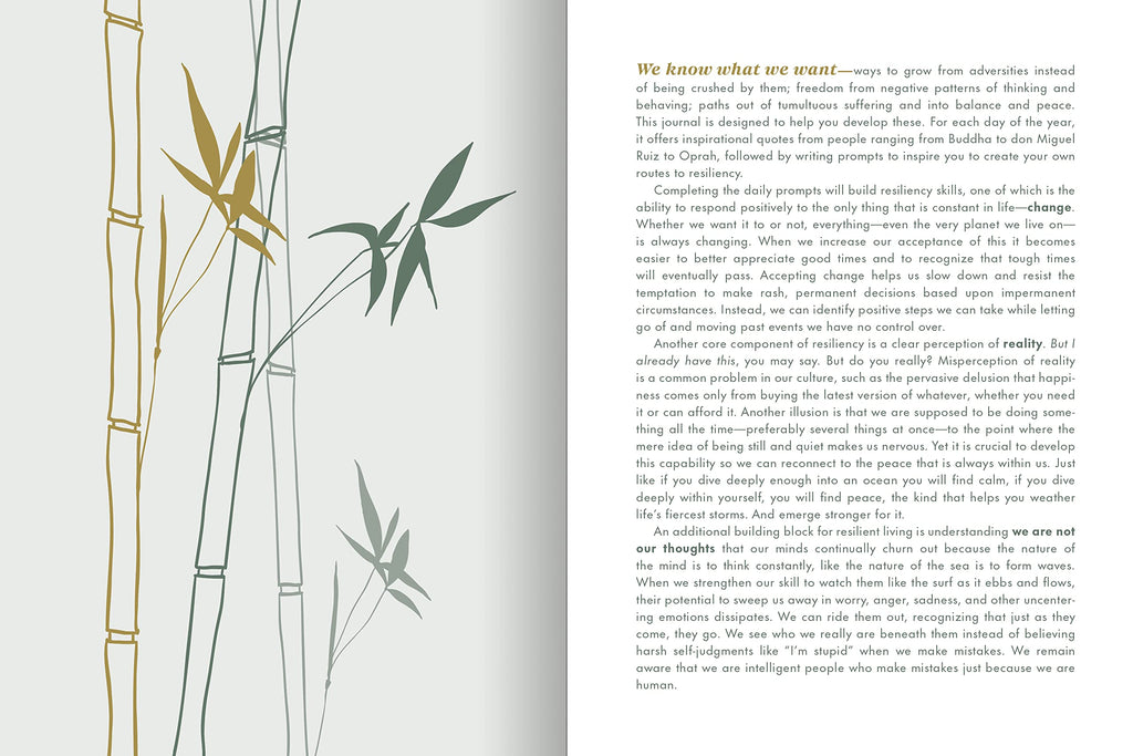 The Resilience Journal: 365 Days to Balance and Peace of Mind