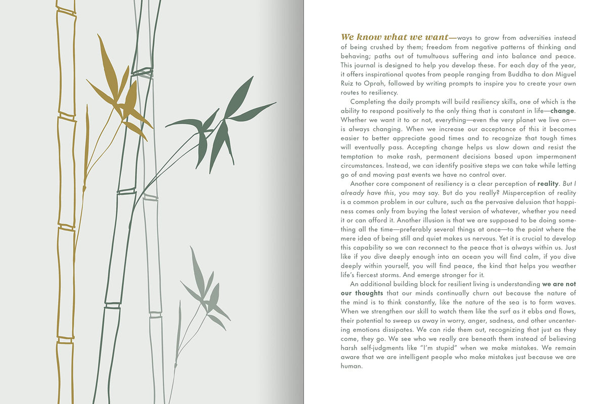 The Resilience Journal: 365 Days to Balance and Peace of Mind