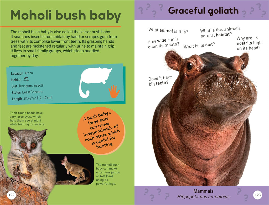 Quiz Yourself Clever! Animals of the World