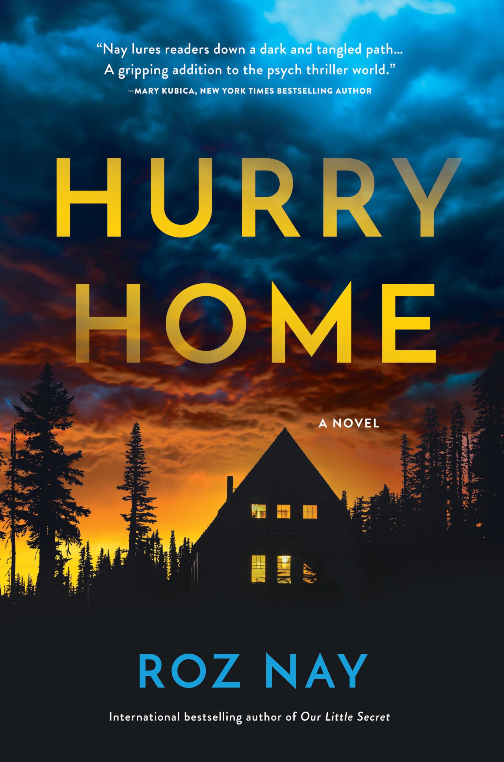 Hurry Home: A Novel