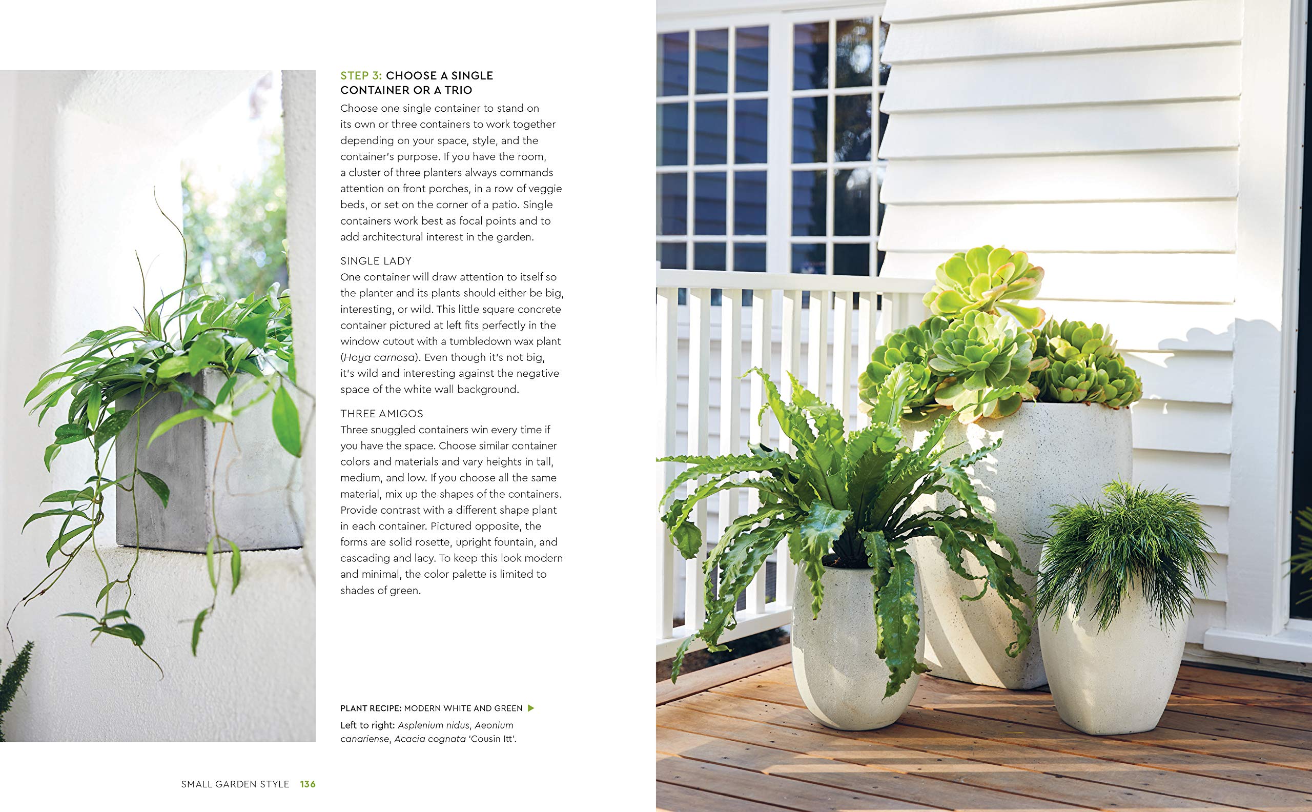 Small Garden Style: A Design Guide for Outdoor Rooms and Containers
