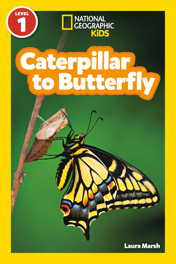 Caterpillar to Butterfly (National Geographic Kids Explore! Readers, Level 1) (National Geographic Kids Readers)
