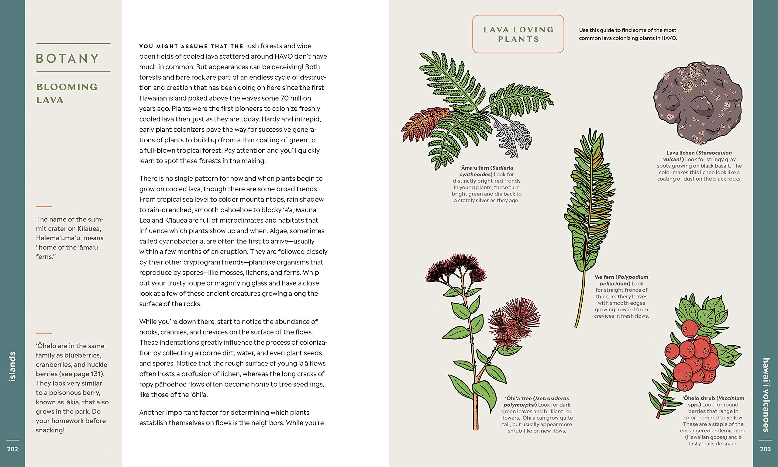 Scenic Science of the National Parks: An Explorer's Guide to Wildlife, Geology, and Botany