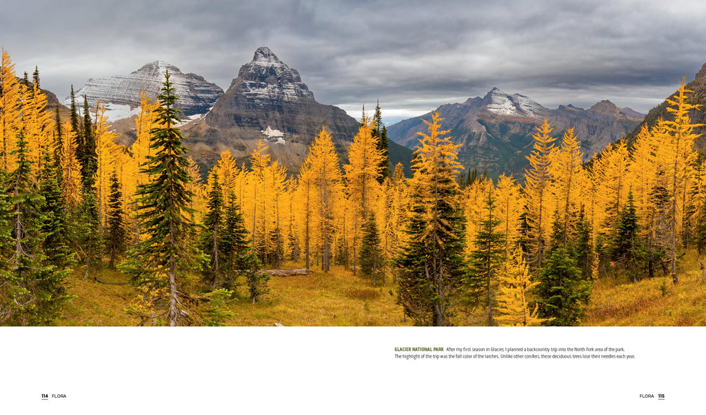 Parklands: America’s National Parks and Public Lands