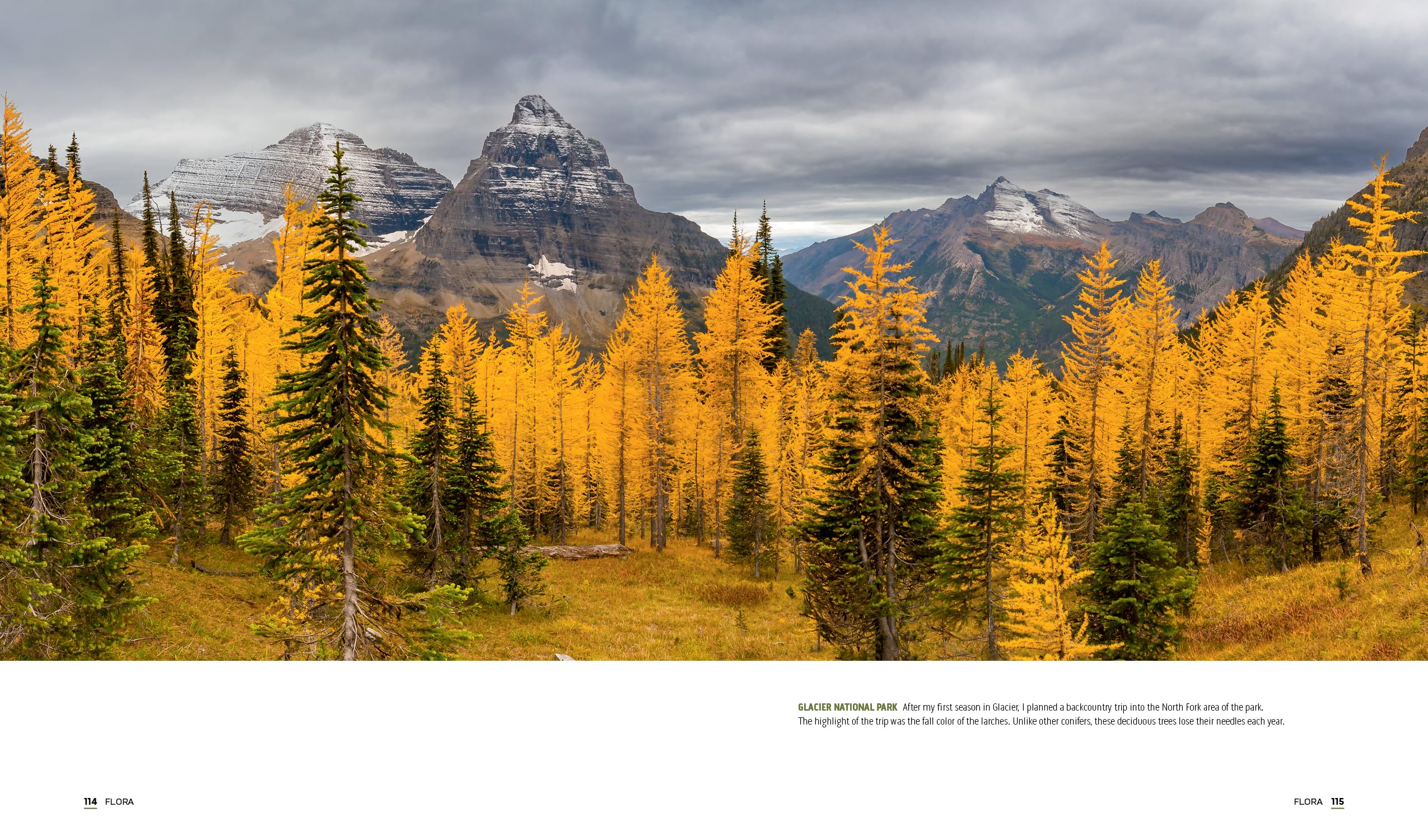 Parklands: America’s National Parks and Public Lands