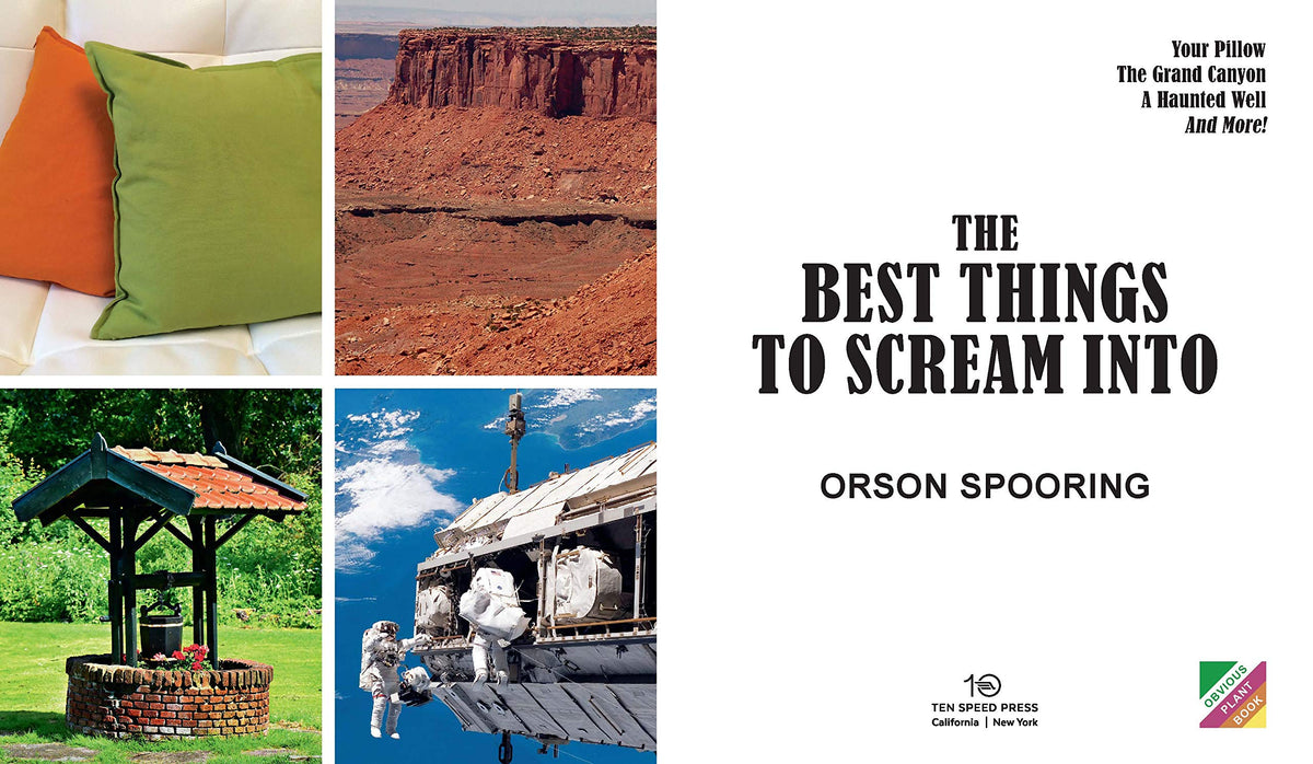 The Best Things to Scream Into
