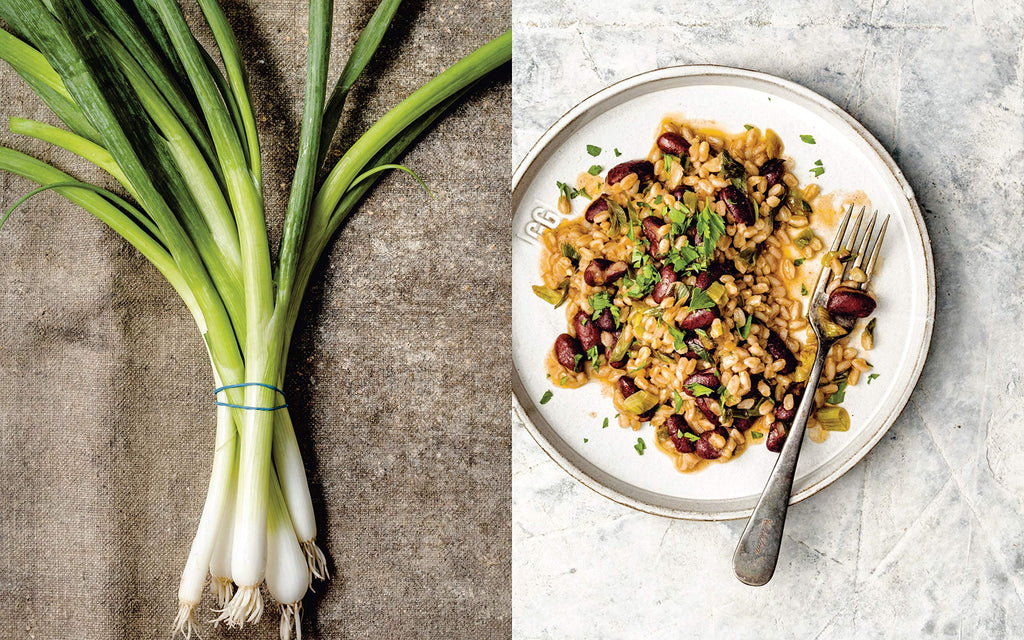 Vegetable Kingdom: The Abundant World of Vegan Recipes