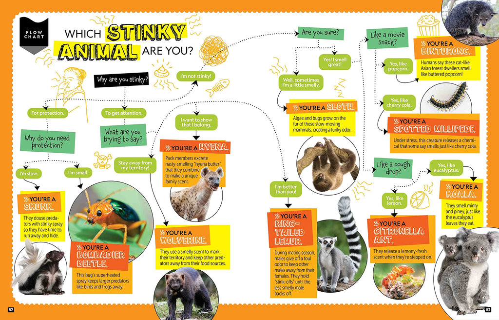National Geographic Kids Personality Quizzes